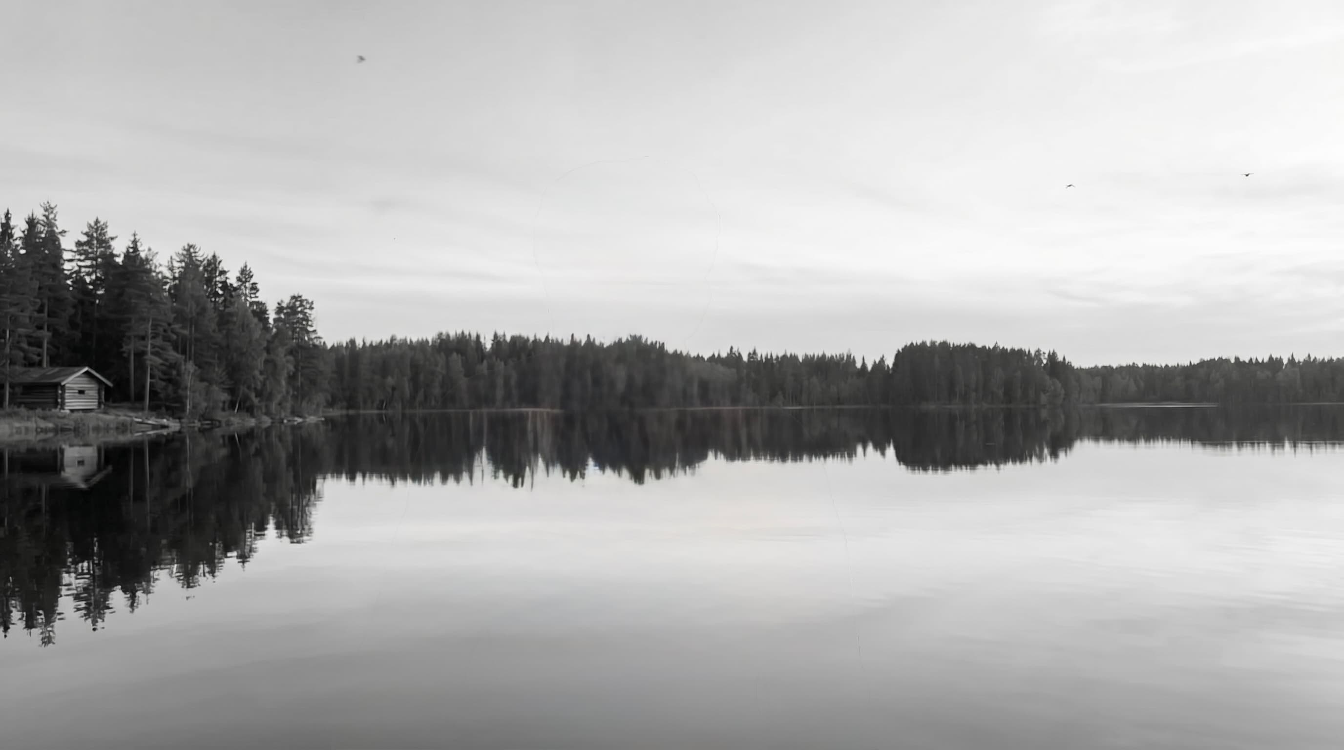 A quiet Finnish lake and its reflected treeline
